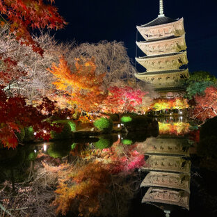 東寺の旅・おでかけ情報（161件） - ことりっぷ編集部おすすめ