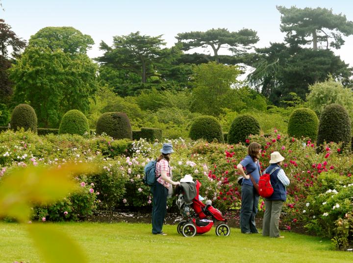 世界一有名な植物園 4万種が見られる キューガーデン の楽しみ方 ことりっぷ