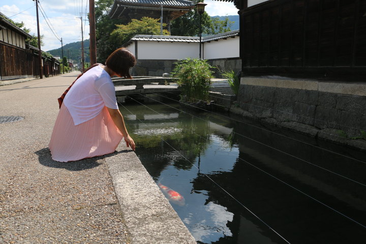 滋賀 近江商人のふるさとを巡る レトロな町あるき ことりっぷ