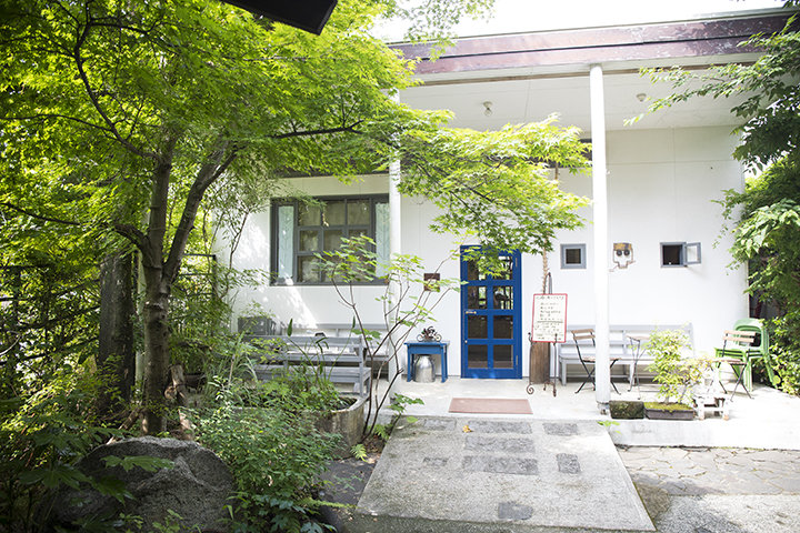 木々に囲まれた 止まり木のような美術館カフェ 熊本 木のけむり 美術館カフェのタネ ことりっぷ