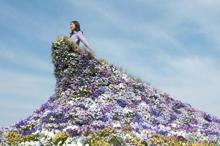 東京ドーム3 5個分の花畑 感動の景色が見られる 北海道ガーデンショー15大雪 ことりっぷ