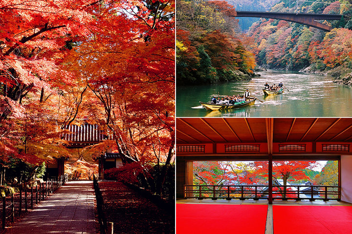 もうひとつの京都 を発見 穴場の京都紅葉スポット6選 ことりっぷ