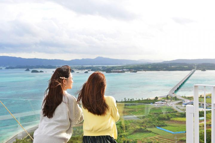 こんな沖縄知らなかった 冬しかできないホエールウォッチングから貸し切りビーチまで 冬の海の一期一会 ことりっぷ