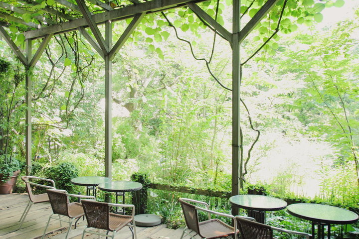 まるで緑の楽園 美しい森の風景に包まれる都内のヒーリングカフェ フェリーチェ ことりっぷ