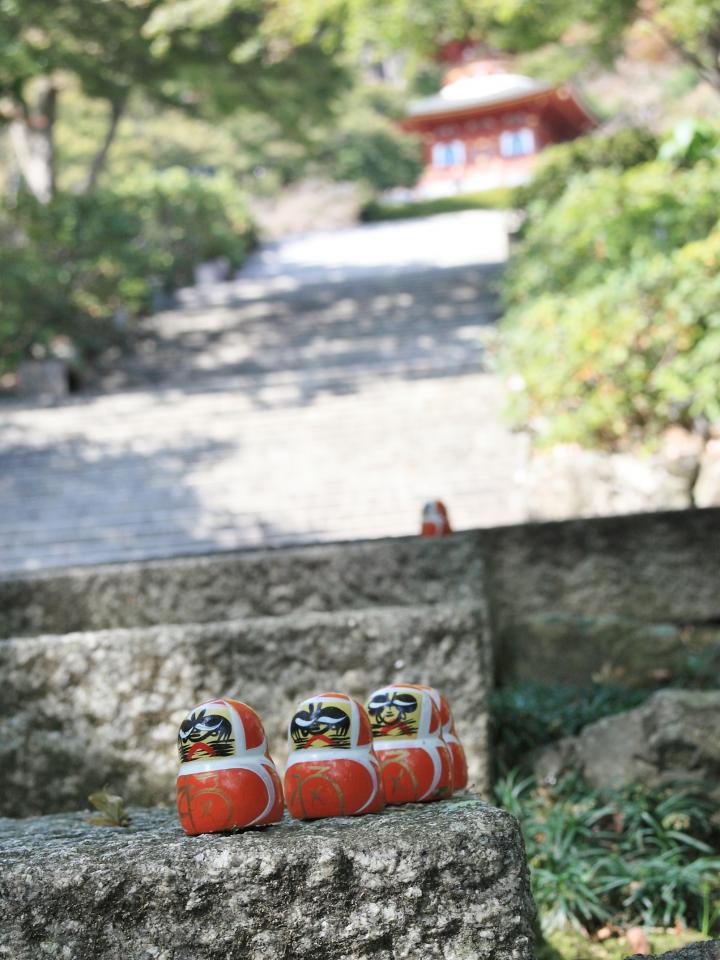ちいさなダルマが境内にいっぱい 勝ちダルマの寺 勝尾寺 で合格 開運祈願 ことりっぷ