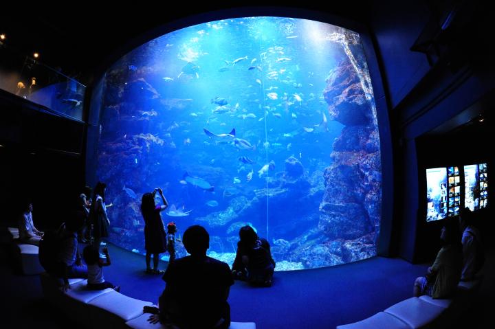 雪のように舞うクラゲが幻想的 光と音 香りに包まれるアート展示が話題の 京都水族館 ことりっぷ