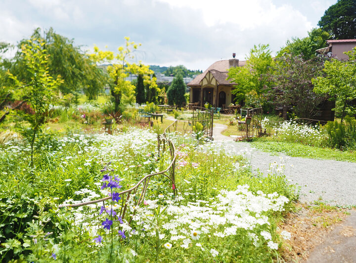 まるで絵本の世界 季節の花々が咲き誇る秘密のガーデンカフェ ひとやすみの庭 ことりっぷ