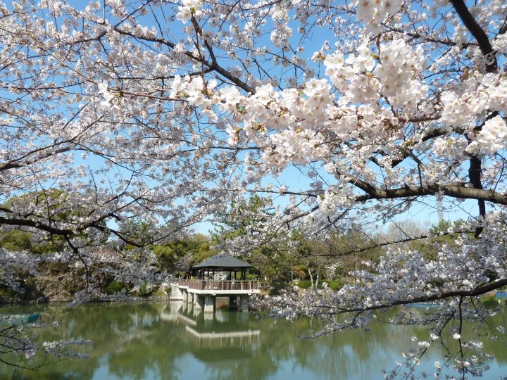 ボリューム満点の デザートランチ に舌鼓 名古屋 鶴舞公園内の古民家カフェ ヌンクヌスク ことりっぷ