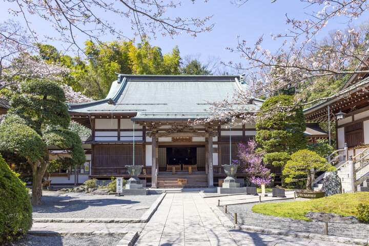 00本の竹に囲まれた鎌倉 報国寺 駅周辺の喧騒から離れて癒しの異空間へ ことりっぷ