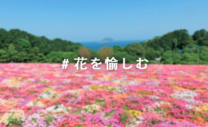 花を愉しむ 写真投稿コンテスト ことりっぷ