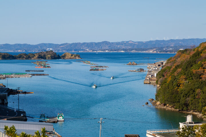 宿泊をしたら楽しみたいのがお散歩