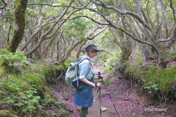 四角友里さんに聞いた 初めての山歩きでそろえたい山ガールアイテムとは ことりっぷ