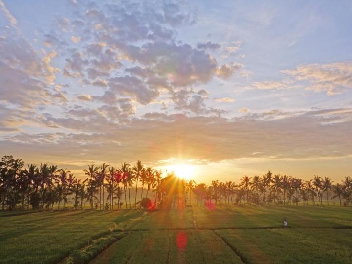 のんびりが最高のぜいたく 癒しの楽園 インドネシア バリ島のおすすめスポット3選 ことりっぷ