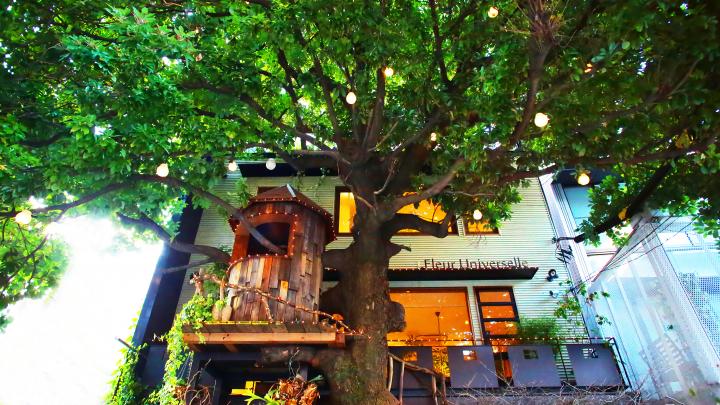 都会の真ん中にツリーハウス 緑あふれる屋上テラス席が人気のカフェ 広尾 レ グラン ザルブル ことりっぷ