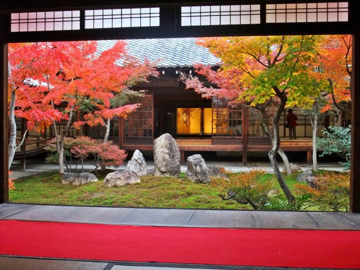 秋色に染まる京都の名庭 紅葉が彩る極上の庭園美へ ことりっぷ