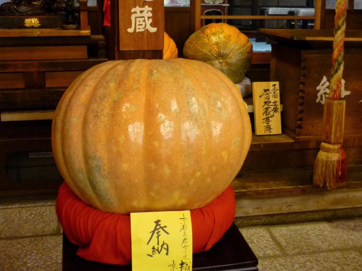 京都の冬の風物詩 かぼちゃを食べて 冬至 に無病息災を願いましょう ことりっぷ