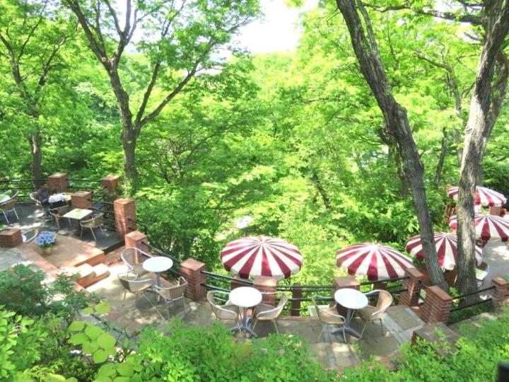 00坪の森を見下ろす天空のカフェへ 鎌倉 樹ガーデン ことりっぷ