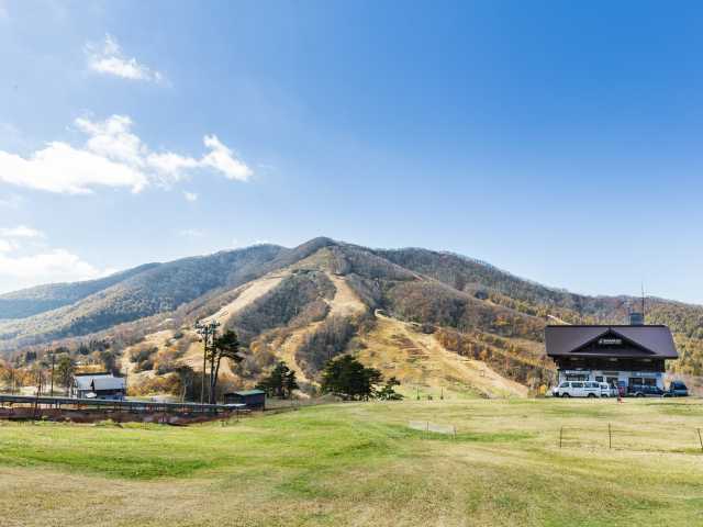 斑尾高原 ことりっぷ厳選 おでかけ 観光情報