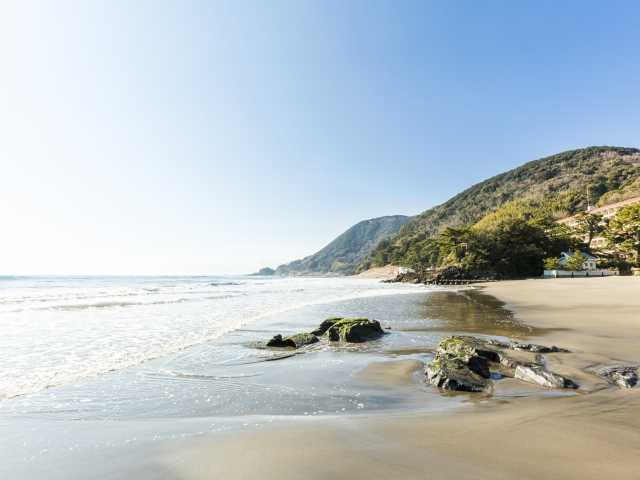 今井浜海水浴場 ことりっぷ厳選 おでかけ 観光情報