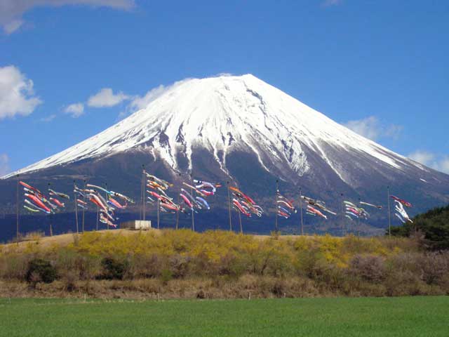 朝霧高原の牧草地 ことりっぷ厳選 おでかけ 観光情報