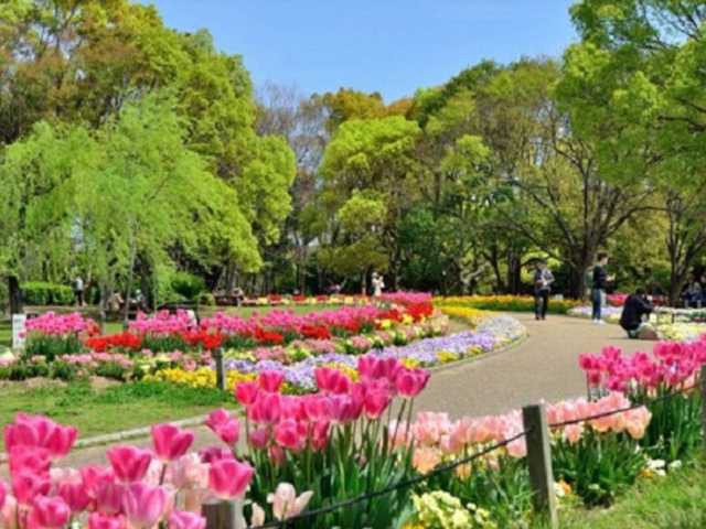 大阪市立長居植物園 ことりっぷ厳選 おでかけ 観光情報