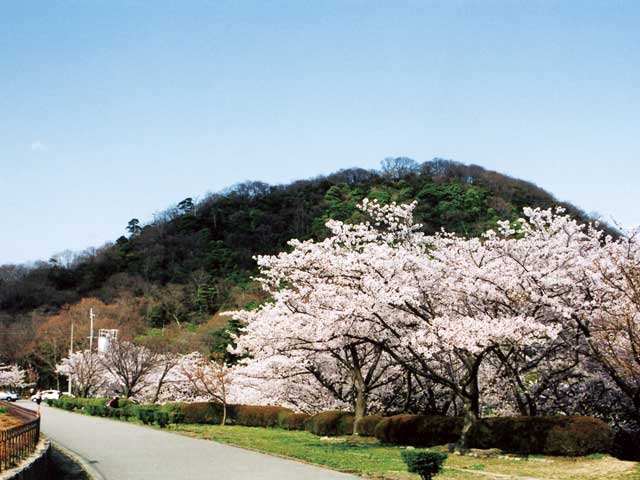 兵庫県立甲山森林公園 ことりっぷ厳選 おでかけ 観光情報