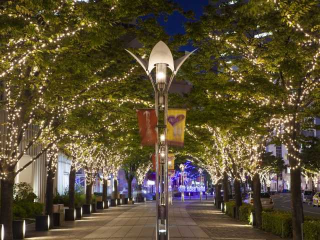 神戸ガス燈通りのイルミネーション ことりっぷ厳選 おでかけ 観光情報 神戸ガス燈通りのイルミネーション ことりっぷ厳選 おでかけ 観光情報