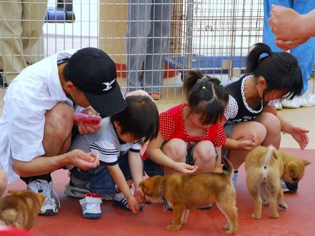 和歌山県動物愛護センター ことりっぷ厳選 おでかけ 観光情報