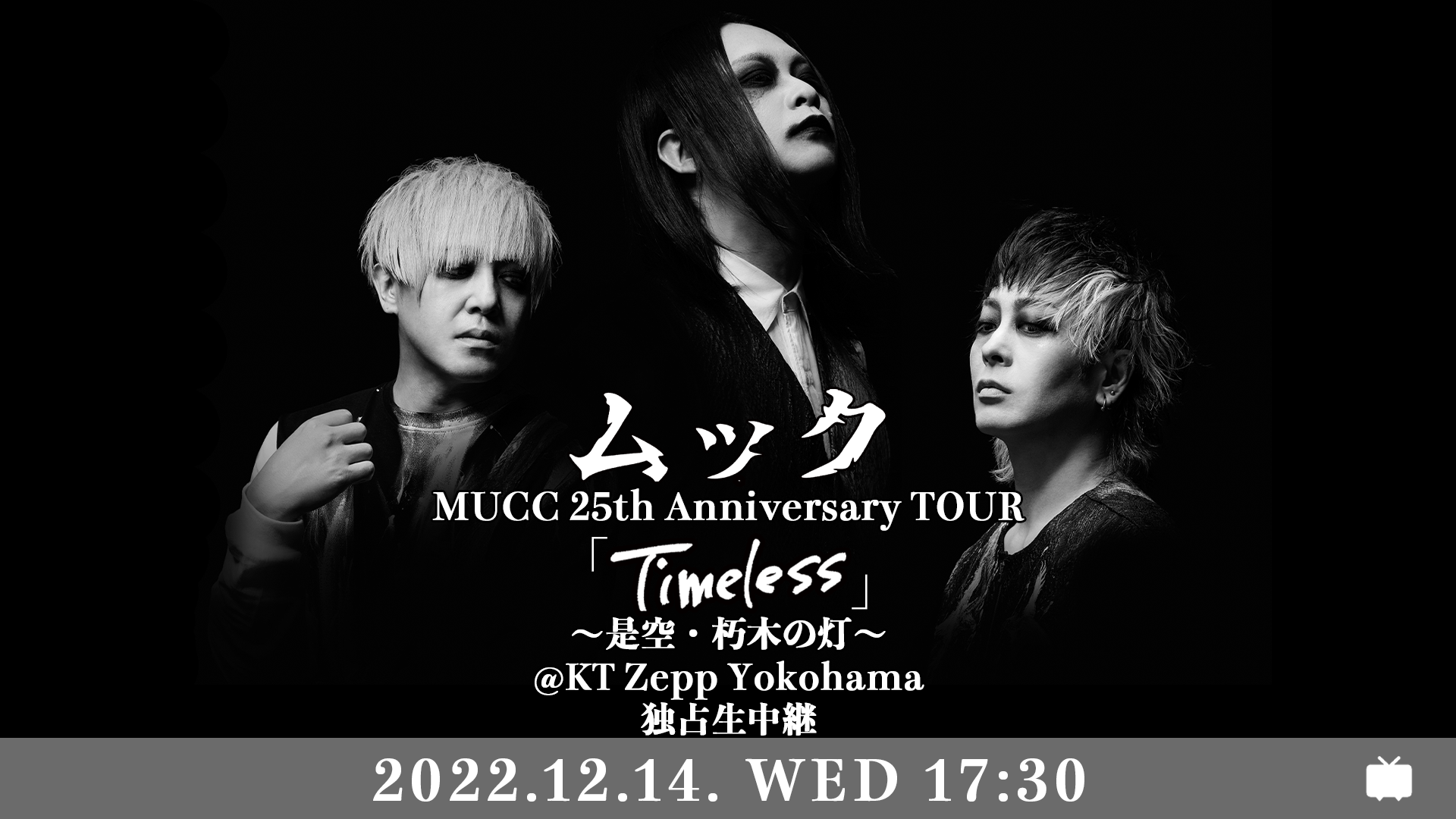 mucc 25th anniversary tour timeless