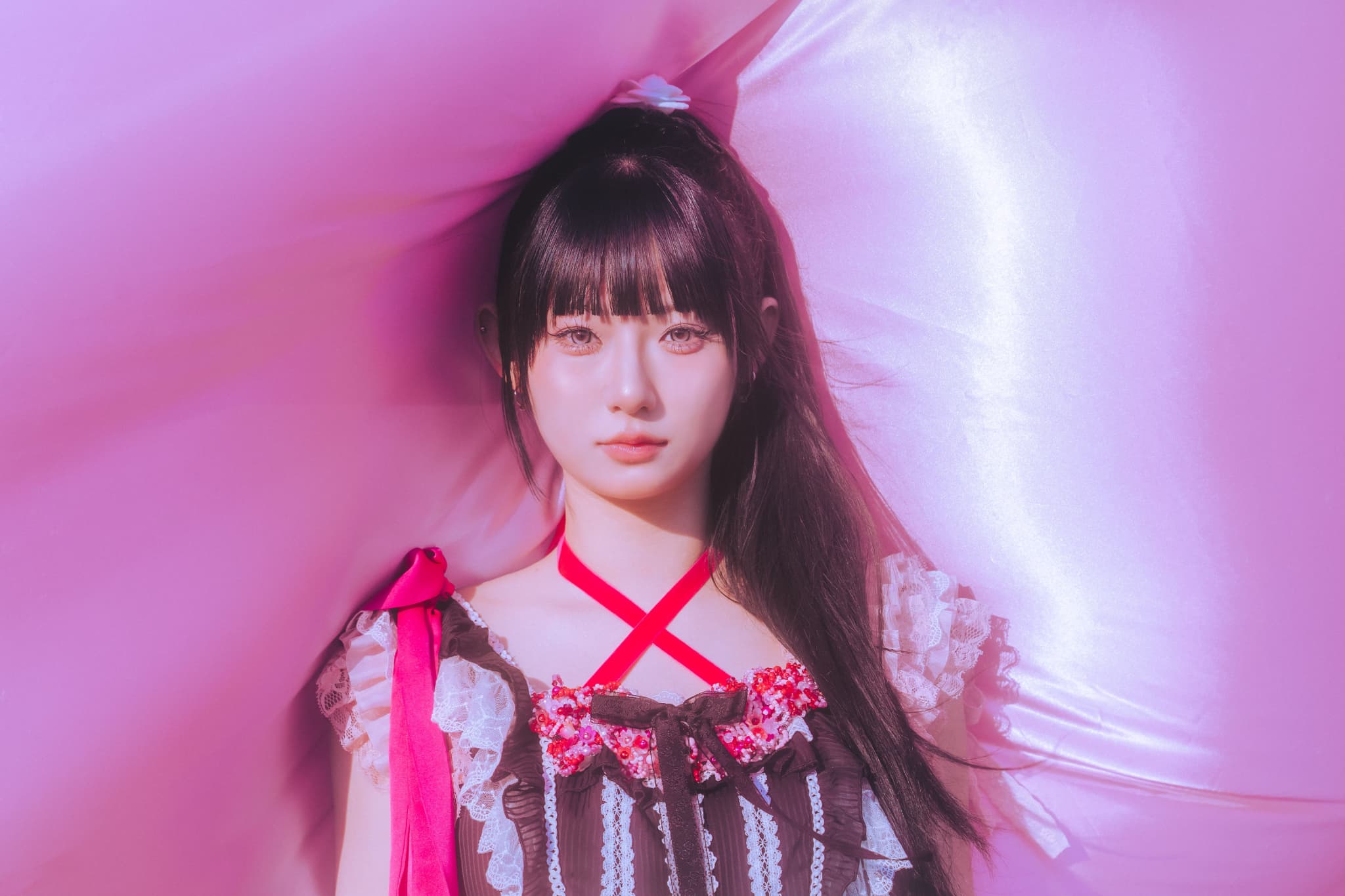 profile | THE PINK MINDS Official Website