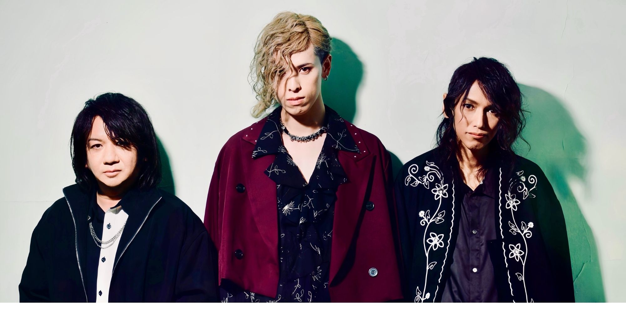 discography | Nicori Light Tours | ニコリライトツアーズ Official Site