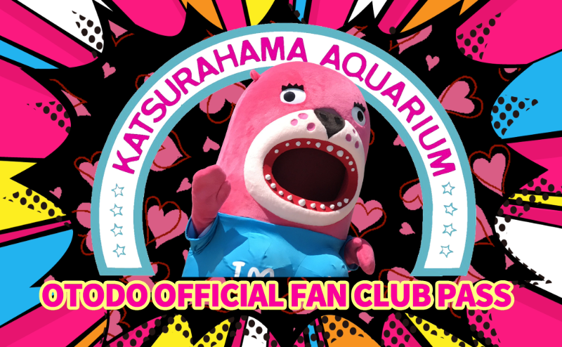 おとどちゃんのファンクラブ | 【桂浜水族館】おとどちゃん公式FC