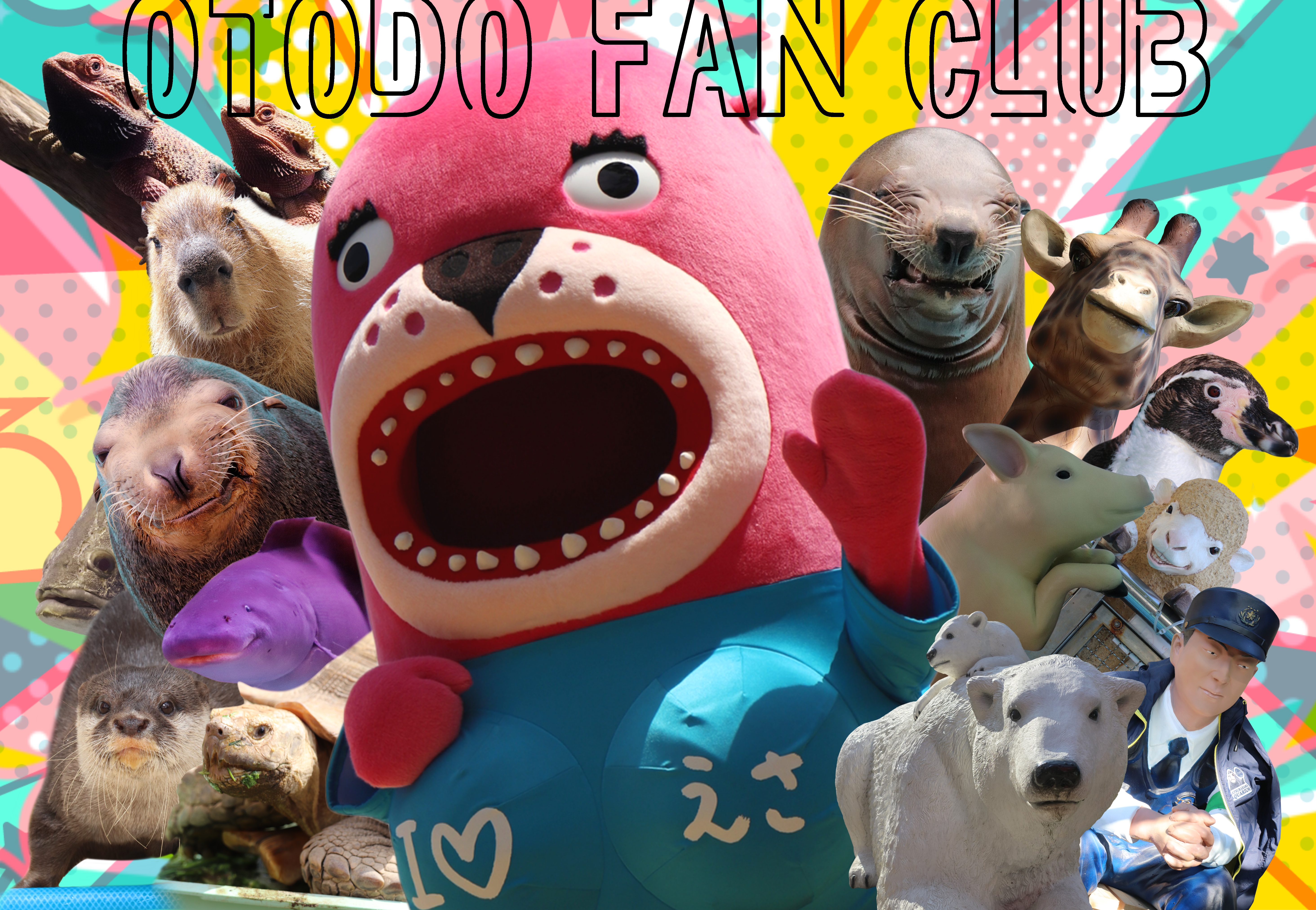 おとどちゃんのファンクラブ | 【桂浜水族館】おとどちゃん公式FC