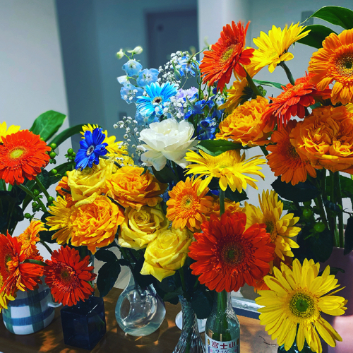 葉菜子のファンクラブ 葉菜子の窒素