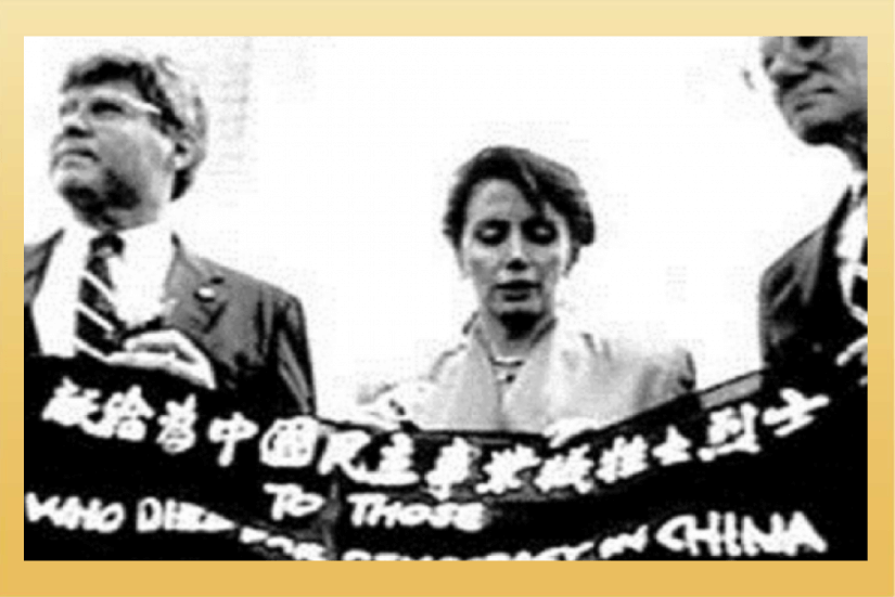 裴洛西歷年大事記