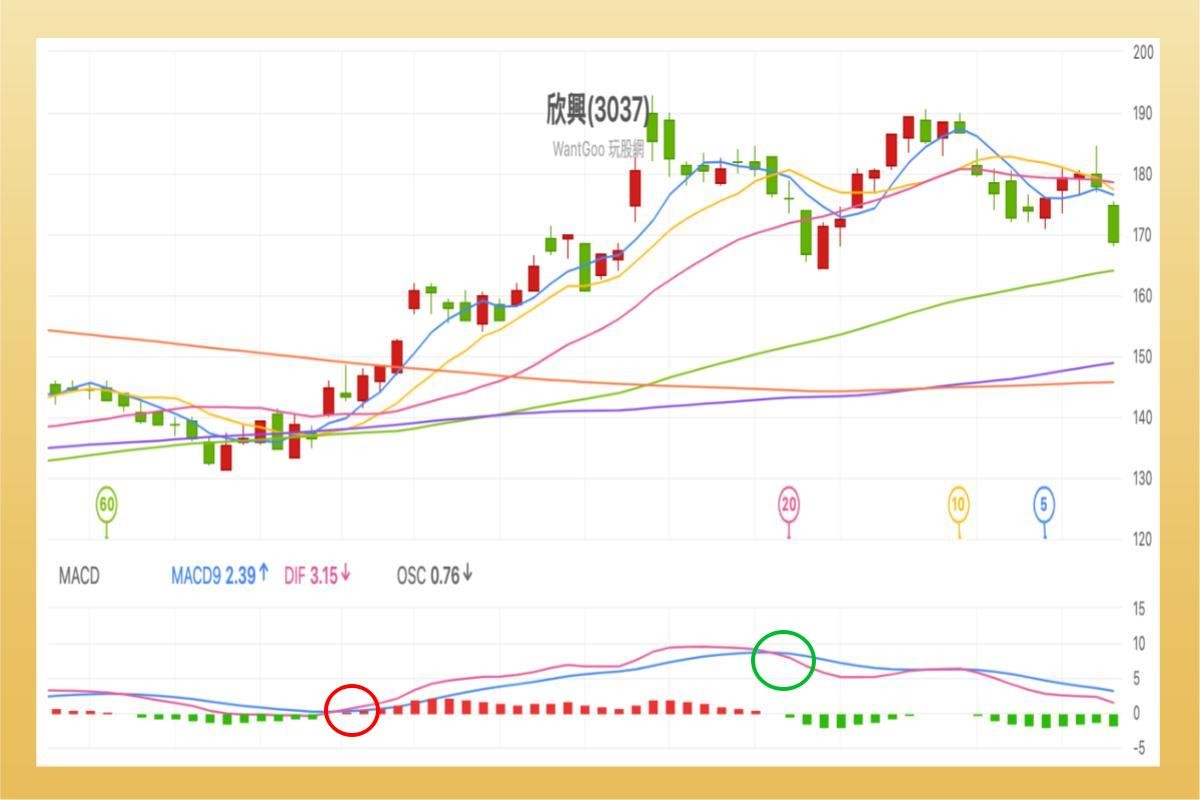 MACD指摽是什麼？MACD背離、黃金交叉？用MACD 判斷股票買賣點-技術分析