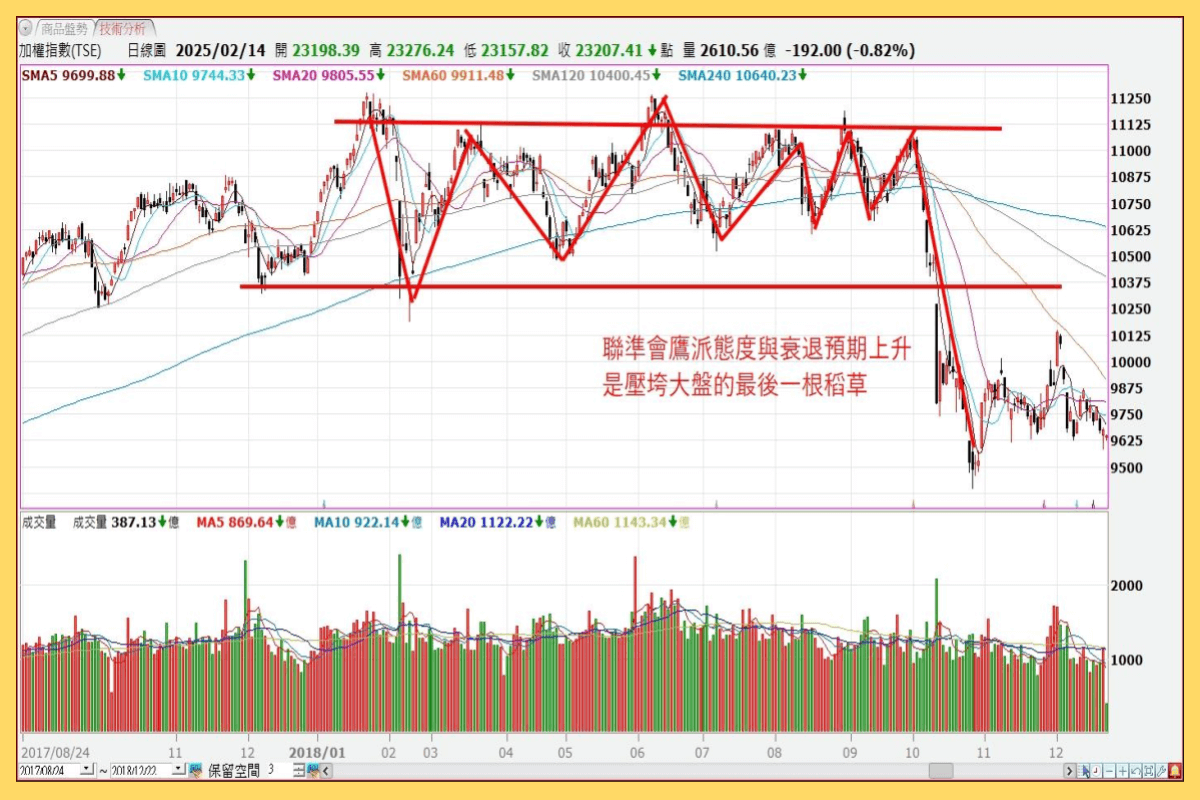 關稅風暴上線！2檔美股ETF竄出績效超車0050、006208