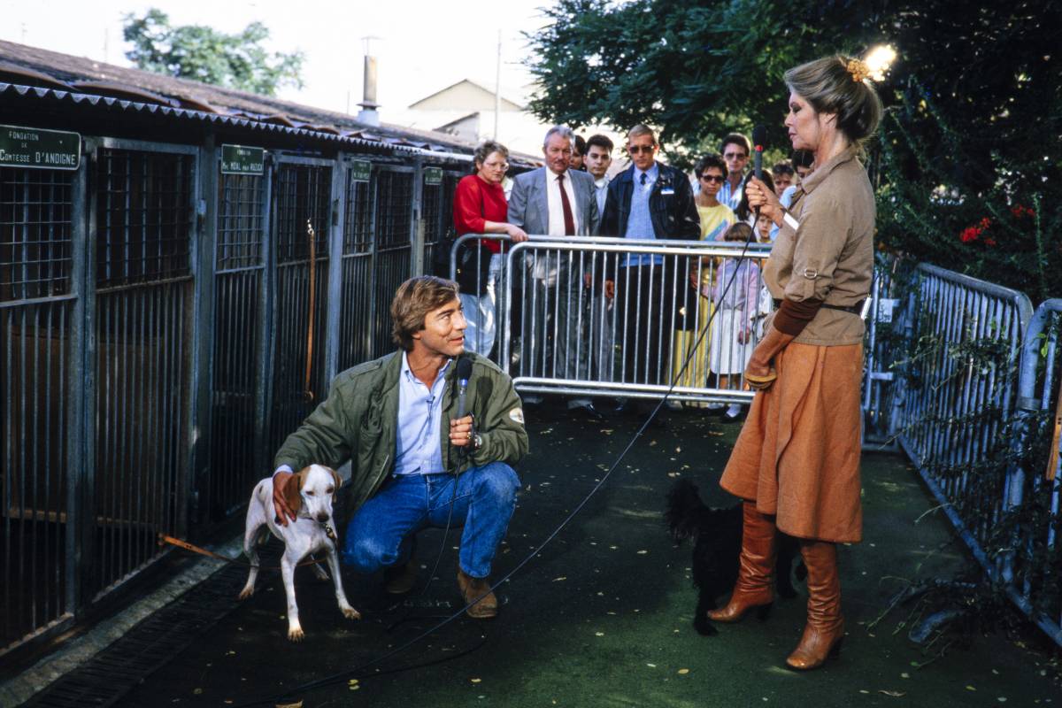 foto com cor. estilo brigitte bardot - metrópoles