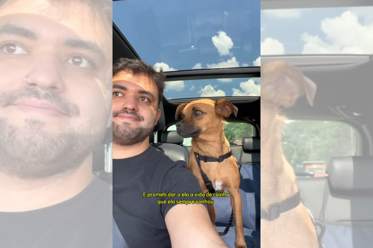 Um humano e um cão - Metrópoles