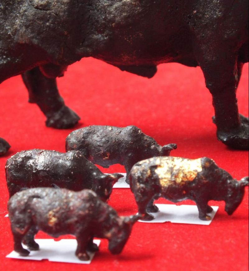 Holy cow bow from patients from patients from the royal serpent was born in the oven Trang.