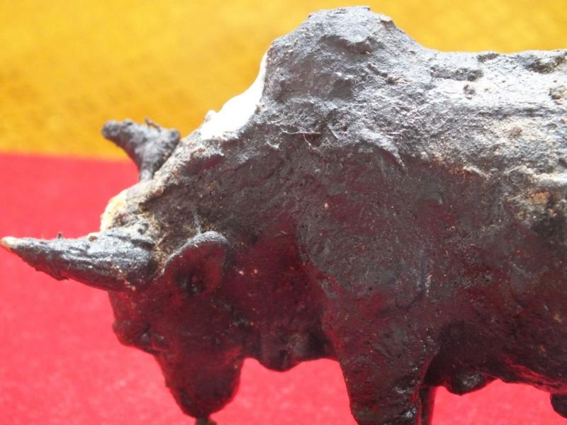 Holy cow bow from patients from patients from the royal serpent was born in the oven Trang.