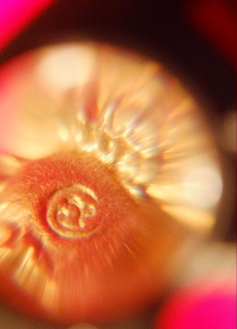 กุมารดูดรก วัดตาก้อง นครปฐม