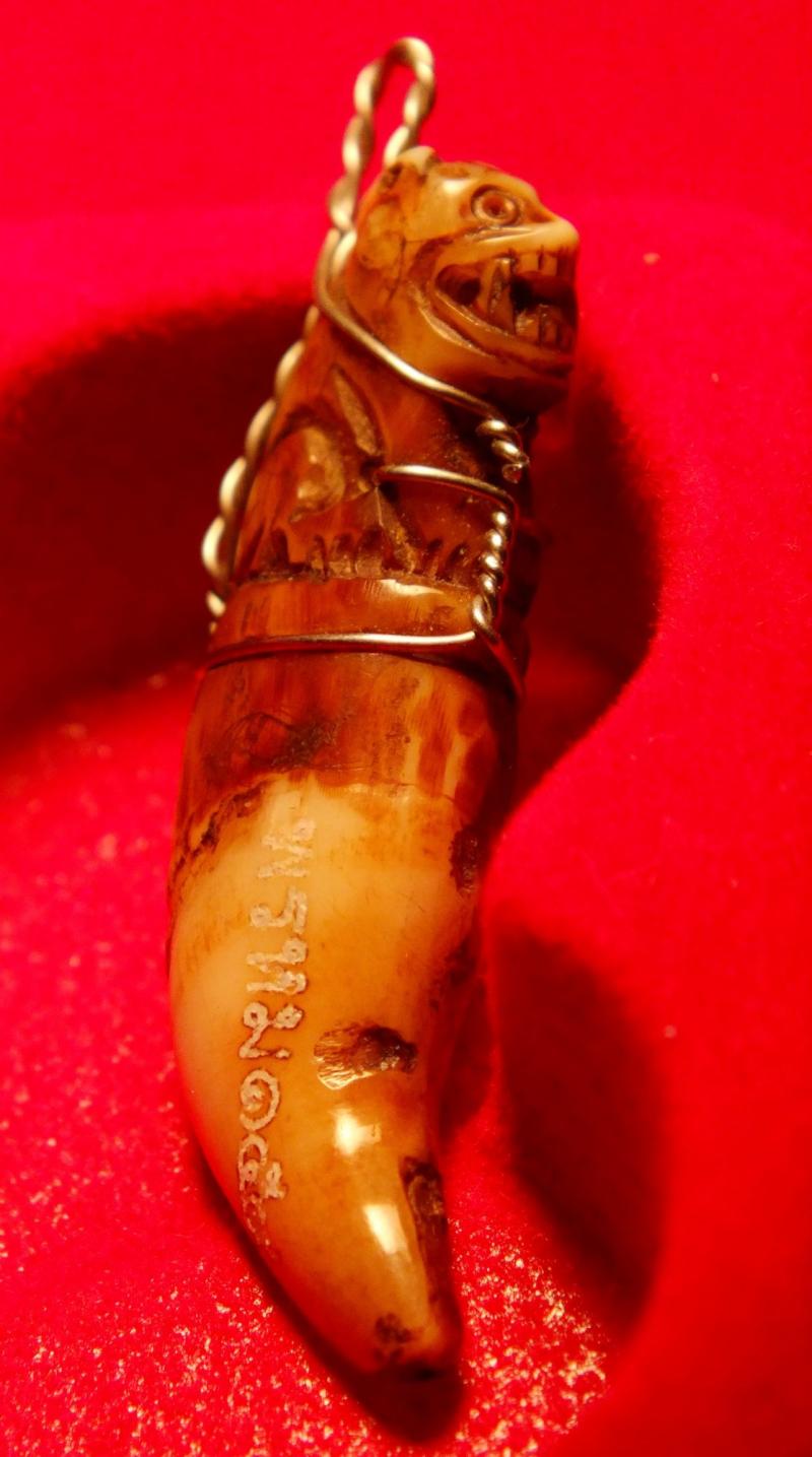 เขี้ยวเสือพ่อท่านพรหม วัดพลานุภาพ จ.ปัตตานี