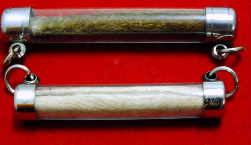 The Tiger's movie Leathernecks Luang Pu Wat Thong Sai, Nakhon Pathom.