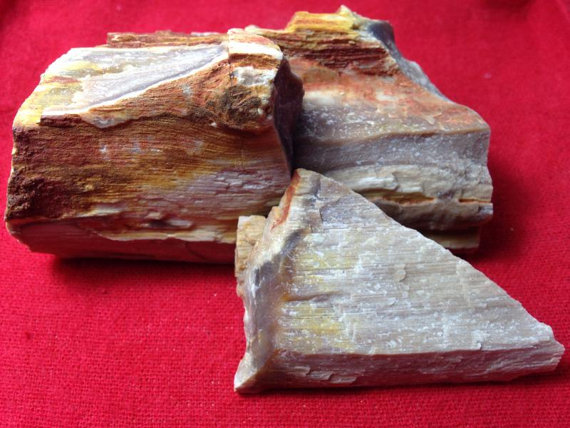 ซื้อ-ขาย ไม้เป็นหิน อยากได้แบบไหนขนาดไหนคุยก่อนคับ ติดต่อ 0823327456 (น้องโฮ่) lineID:ananhotrading petrified wood, more kind more size contact +66823327456 (Ho)