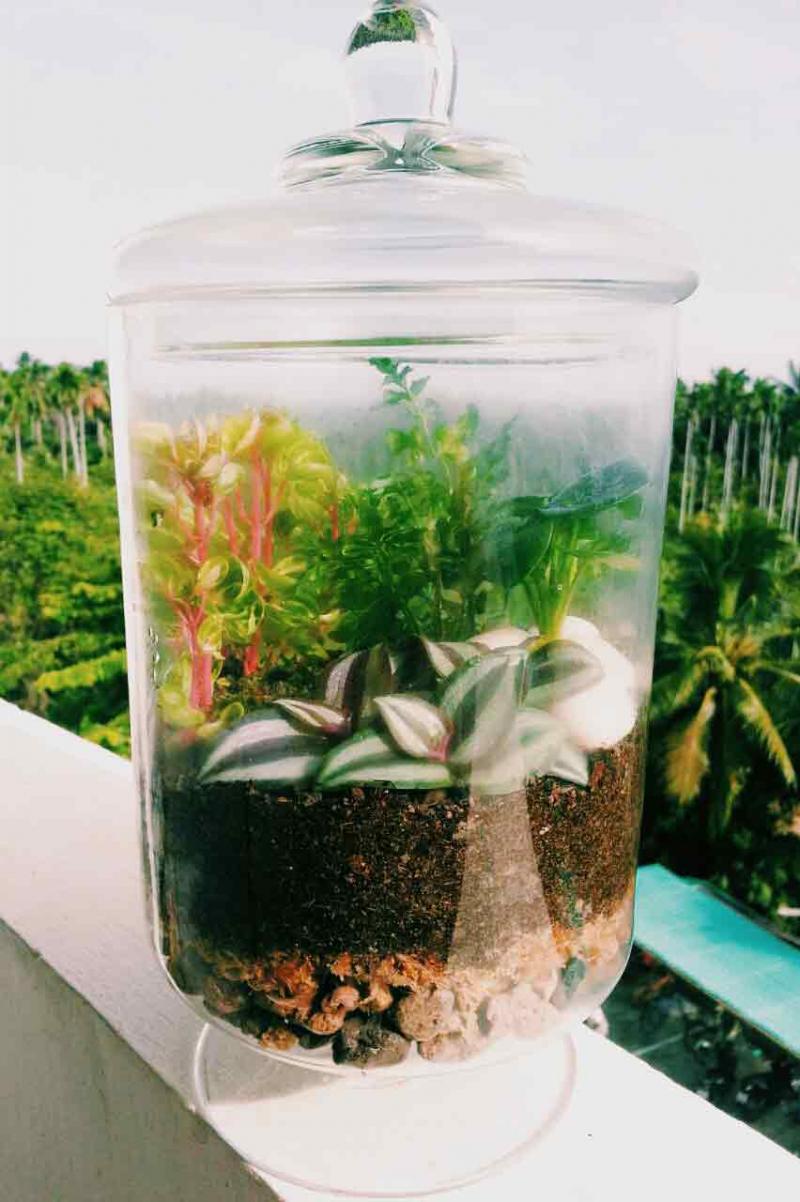 ขายสวนจิ๋วในขวดแก้วสวย มีหลากหลายรูปแบบให้เลือกทั้งแบบนอนและแบบแนวตั้งเรายินดีจัดสวนตามสไตล์ที่คุณชอบ -ขนาดสวนโหลมีหลากหลายขนาดและหลายรูปแบบ สูง/ เตี้ย / กลม -ฝาโหลแบบ สปริง intrend / ไม้คลาสสิก / ใสทรงหรู / โลหะ modern -เพิ่มของประดับตกแต่งได้ตามสไตล์ ที่คุณปรารถนา !!ดูแลง่ายไม่ต้องรดน้ำบ่อย