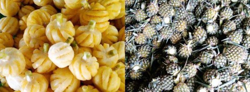  
 ไร่ธนวัฒน์ภูแล 
 
 
 
 
 ขายส่งสับปะรดภูแล ของแท้ จากเชียงราย
 หวาน กรอบ อร่อย สดจากสวน
 มี 2 แบบให้เลือก คือ แบบผลสด และ แบบปอก
 *******************
 จัดส่งฟรีทั่วประเทศ 
 สามารถจัดส่งทางรถทัวร์ และทางอากาศ (เครื่องบิน)
 พร้อมรับตัวแทนจำหน่ายทั่วประเทศ
 ราคากันเอง
 ********************
 สนใจติดต่อ
 082-3832685 (คุณทิตย์)
 Line id : tanawat.nata
 
 ดูรายละเอียดเพิ่มเติม
 https://www.facebook.com/tanawatphulae  หรือ
 http://tanawatphulae.lnwshop.com
  สับปะรด, ขายส่ง