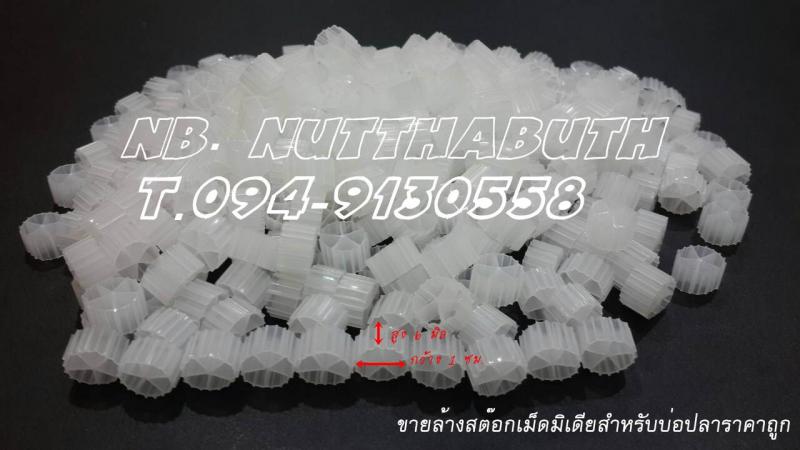 จำหน่ายมิเดียบ่อกรอง (media) คุณภาพดีขายล้างสต๊อคมีจำนวนจำกัด ใช้สำหรับบ่อปลาคราฟบ่อบำบัดต่างๆMedia ทำงานได้ดีตรงที่แบททีเรียที่เกาะตามMedia สามารถสัมผัสกับน้ำได้ทั่วถึงเพราะ Media มีการเคลื่อนที่ตลอดเวลา ข้อดีของ Mediaอีกอย่างคือทำความสะอาดง่ายไม่ต้องยุ่งกับตัวMedia เพียงชักน้ำทิ้งดูดขี้ปลาที่ตกตะกอนออกแค่นั้นเอง แต่ถ้าเป็น JFM ต้องยกออกมาฉีดน้ำล้างข้อเสียที่เห็