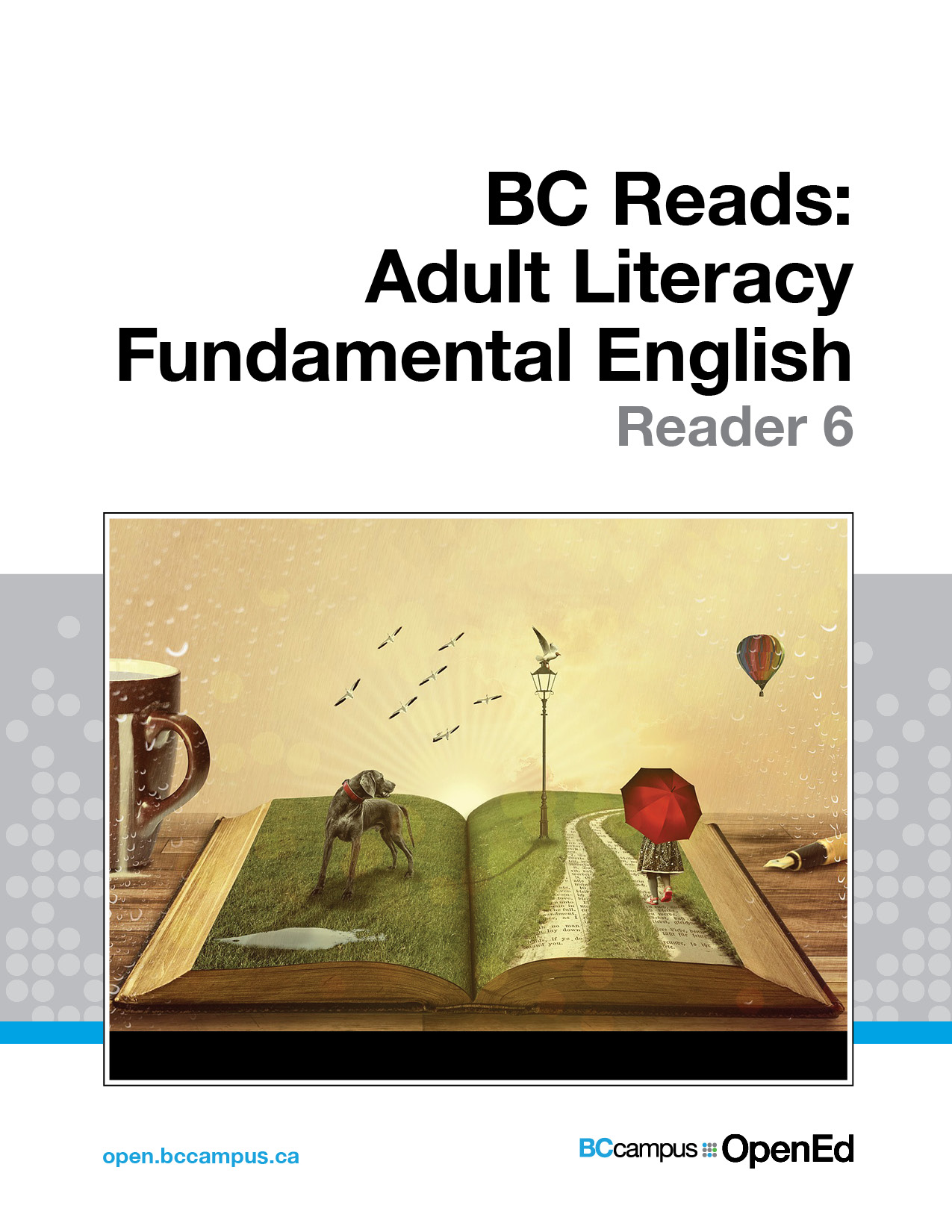 BC Reads: Adult Literacy Fundamental English – Reader 6