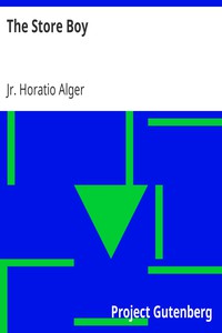 The Store Boy by Jr. Horatio Alger